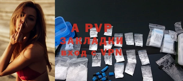 ECSTASY Майский