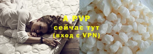 ECSTASY Майский