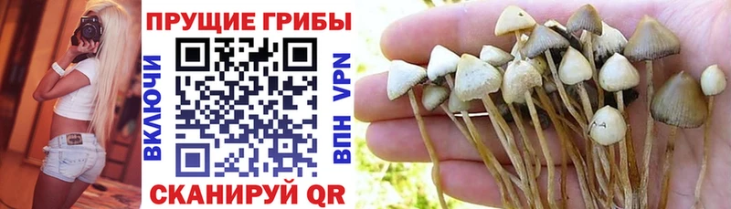 Галлюциногенные грибы мухоморы  гидра сайт  Нижняя Салда 